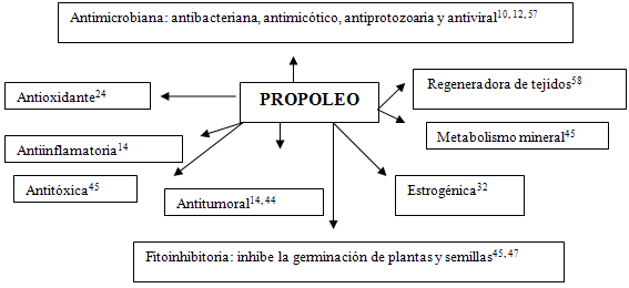 Figura 2 Propiedades fundamentales con respecto a la actividad biológica del propóleo