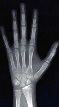 Fig. 8