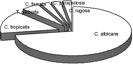 Gráfico 1 Tipos de levaduras identificadas.